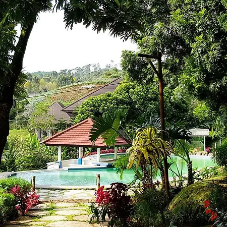 Bamboo Village By Villa-3